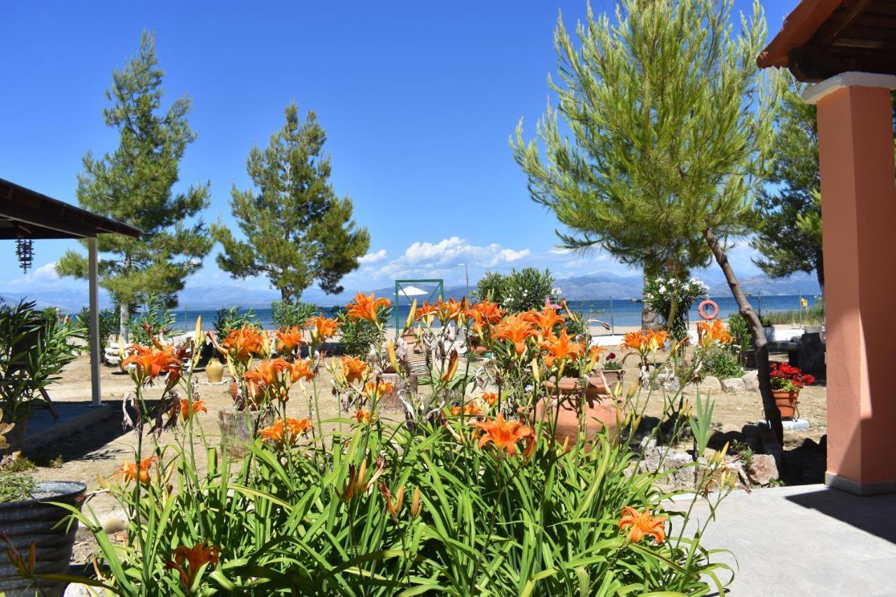 Bouka Beachfront Bungalows Agios Nikolaos  Exteriör bild
